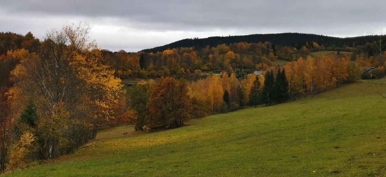 Hotel Zlaty Potok Nicov  ภายนอก รูปภาพ