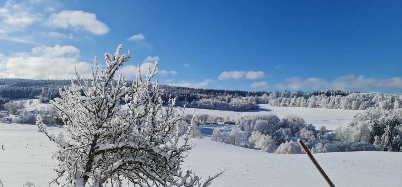 Hotel Zlaty Potok Nicov  ภายนอก รูปภาพ