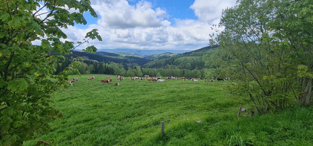 Hotel Zlaty Potok Nicov  ภายนอก รูปภาพ